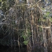 lake_garzacocha_la_v_0508_ecu1233.jpg